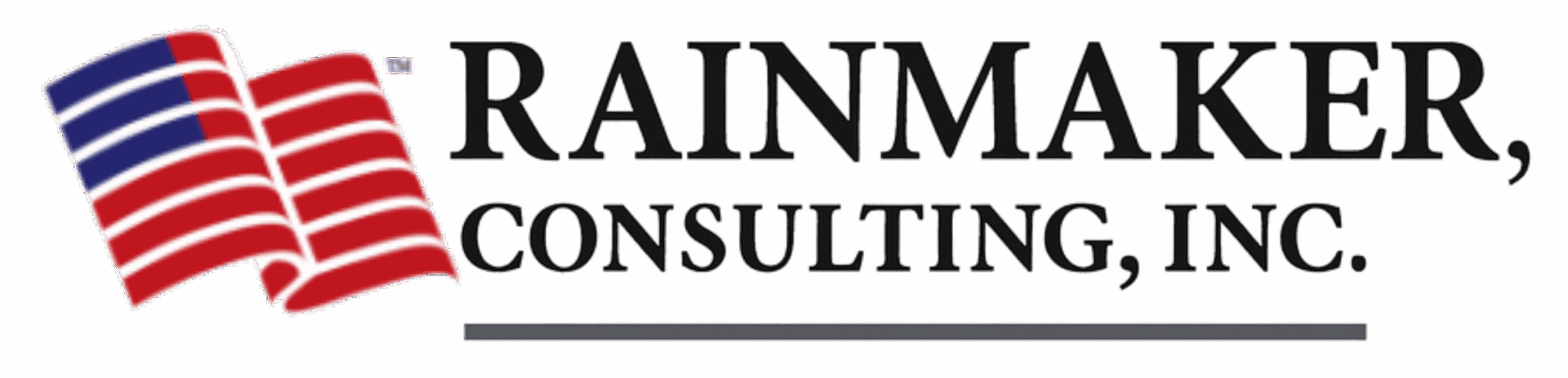 Logo with the text 'PAINM CONSULTI' in bold on a dark background.
